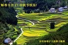 ֹ,󷨵ӹףʦ(18)
