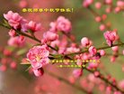Published on 9/14/2016 ���ֹ�,���󷨵��ӹ�ףʦ�������(28��)