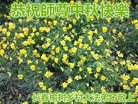 Published on 9/14/2016 ���ֹ�,���󷨵��ӹ�ףʦ�������(28��)