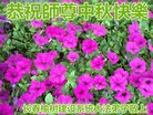 Published on 9/14/2016 ���ֹ�,����ҵ�󷨵��ӹ�ףʦ�������(31��)