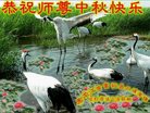 Published on 9/14/2016 ���ֹ�,���󷨵��ӹ�ףʦ�������(28��)