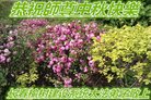 Published on 9/14/2016 ���ֹ�,����ҵ�󷨵��ӹ�ףʦ�������(31��)