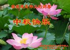 Published on 9/14/2016 ���ֹ�,���󷨵��ӹ�ףʦ�������(28��)