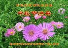 ֹ,ľ˹󷨵ӹףʦ(21)
