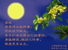 Published on 9/15/2016 ���ֹ�,��½�󷨵��ӹ�ףʦ���������(35��)