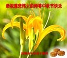 ֹ,󷨵ӹףʦ(25)
