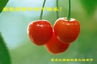 Published on 9/15/2016 ���ֹ�,��½�󷨵��ӹ�ףʦ���������(33��)