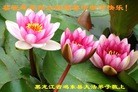 ֹ,󷨵ӹףʦ(27)