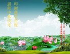 Published on 9/15/2016 ���ֹ�,��½�󷨵��ӹ�ףʦ���������(33��)