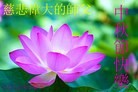 ֹ,󷨵ӹףʦ(27)