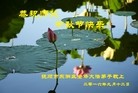 ֹ,󷨵ӹףʦ(25)