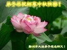 ֹ,֣ݴ󷨵ӹףʦ(29)