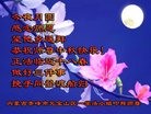 ֹ,ɹŴ󷨵ӹףʦ(28)