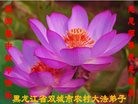 Published on 9/15/2016 ���ֹ�,���󷨵��ӹ�ףʦ���������(30��)
