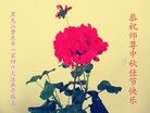 ֹ,󷨵ӹףʦ(23)