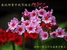 ֹ,󷨵ӹףʦ(29)