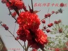 Published on 9/15/2016 ���ֹ�,��½���Ӵ󷨵��ӹ�ףʦ���������(21��)