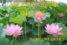 ֹ,ӱ󷨵ӹףʦ(25)