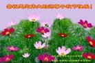 Published on 9/15/2016 ���ֹ�,��½���չ�ףʦ���������