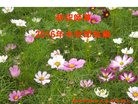 ֹ,󷨵ӹףʦ(25)