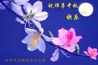 Published on 9/15/2016 ���ֹ�,��½�󷨵��ӹ�ףʦ���������(41��)