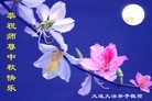 ֹ,󷨵ӹףʦ(24)