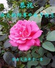 ֹ,ϴ󷨵ӹףʦ(27)