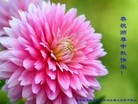 Published on 9/15/2016 ���ֹ�,��½�󷨵��ӹ�ףʦ���������(35��)