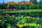 Published on 9/15/2016 ���ֹ�,��½�󷨵��ӹ�ףʦ���������(38��)
