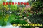 Published on 9/15/2016 ���ֹ�,��½�󷨵��ӹ�ףʦ���������(38��)