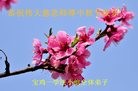 ֹ,󷨵ӹףʦ(23)