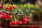 Published on 9/15/2016 ���ֹ�,���󷨵��ӹ�ףʦ���������(24��)