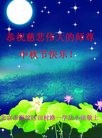 ֹ,󷨵ӹףʦ(24)