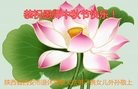 Published on 9/15/2016 ���ֹ�,��½�󷨵��ӹ�ףʦ���������(29��)