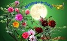 ֹ,󷨵ӹףʦ(25)