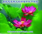 Published on 9/15/2016 ���ֹ�,��½�󷨵��ӹ�ףʦ���������(36��)