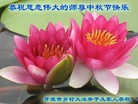 Published on 9/15/2016 ���ֹ�,��½�󷨵��ӹ�ףʦ���������(34��)