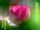 ֹ,󷨵ӹףʦ(30)
