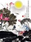 ֹ,ϴ󷨵ӹףʦ(27)