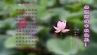 ֹ,󷨵ӹףʦ(24)