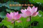 ֹ,󷨵ӹףʦ(28)