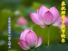 Published on 9/15/2016 ���ֹ�,��½�󷨵��ӹ�ףʦ���������(27��)