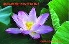 ֹ,֣ݴ󷨵ӹףʦ(29)