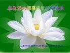 Published on 9/15/2016 ���ֹ�,����ϵͳ�󷨵��ӹ�ףʦ���������(26��)