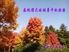 ֹ,󷨵ӹףʦ(28)