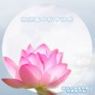 Published on 9/15/2016 ���ֹ�,��½�󷨵��ӹ�ףʦ���������(36��)