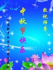 ֹ,ϴ󷨵ӹףʦ(29)