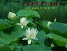 Published on 9/15/2016 ���ֹ�,����ҵ�󷨵��ӹ�ףʦ���������(35��)