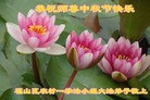 Published on 9/15/2016 ���ֹ�,���󷨵��ӹ�ףʦ���������(30��)