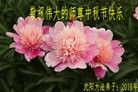 ֹ,󷨵ӹףʦ(29)